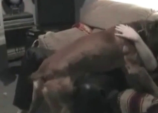 Zoophili pounding with a milf