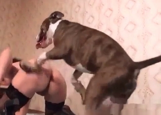 Trained dog knows how to screw