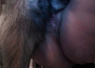 Bestiality sex on the bed