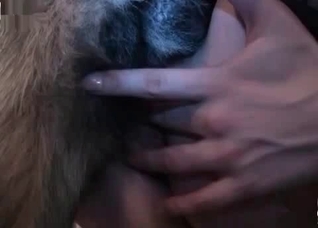 Bestiality sex on the bed