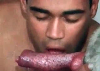 Tanned zoophile licks a meaty dick