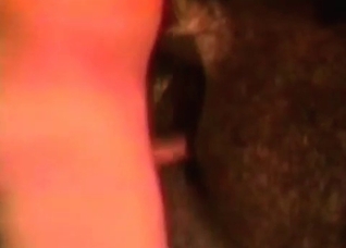 Slow banging in the farm porn