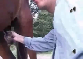 Bestiality dick comparison