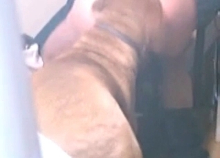 Playful doggy enjoys a wiener