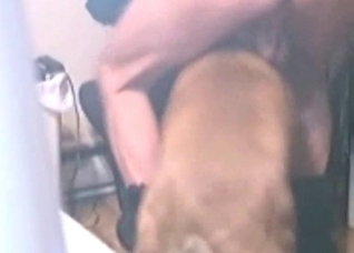 Playful doggy enjoys a wiener