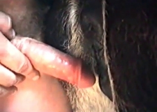 Farm action in the close up