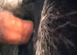 Farm action in the close up