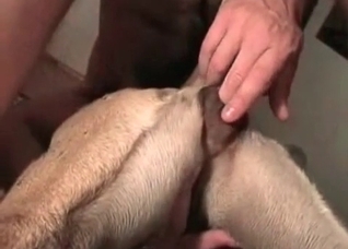 Slender dog and hard boner