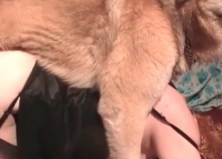 Sweet doggy and dirty pervert