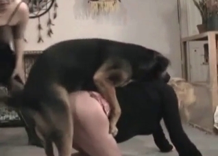 Fat ass milfs and their dog