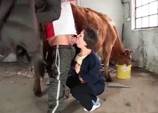 Mature couple in the farm porn