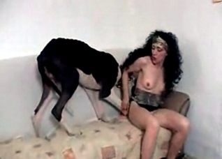 Gigantic dog is being sucked
