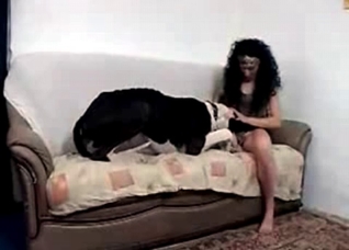 Gigantic dog is being sucked