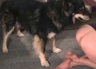 That dog can fuck all night
