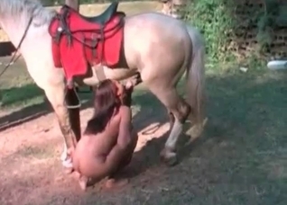 Elegant blowjob for an animal