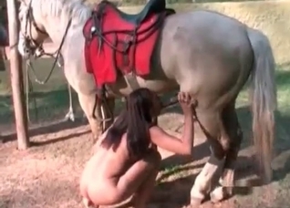 Elegant blowjob for an animal