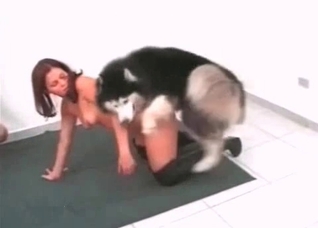Two bitches are trying out animality