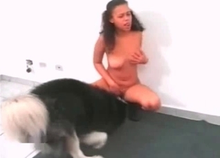 Two bitches are trying out animality