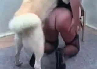 Just trying to seduce this animal