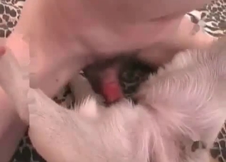 Fast sex with a nice animal