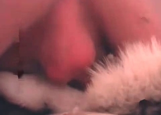My doggy adores a hard boner