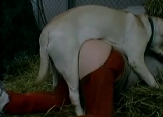 Dog fucks me in the hayloft
