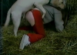 Dog fucks me in the hayloft