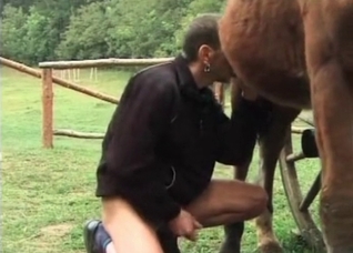 Mature zoofil blows a horse