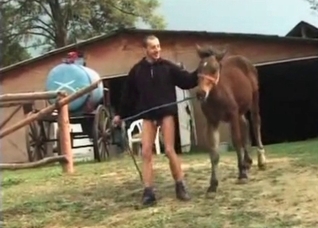 Mature zoofil blows a horse