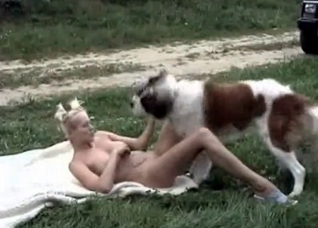 Outdoor games with a doggy