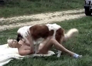 Outdoor games with a doggy