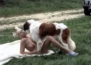 Outdoor games with a doggy