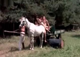 Family and their massive stallion