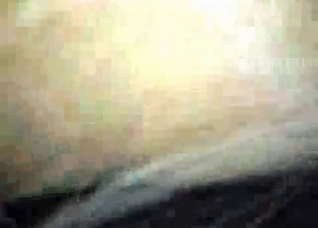 Brown stallion fucked in the night