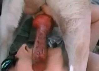 Her mouth is addicted to animality