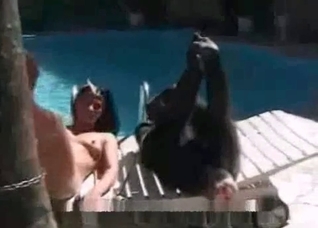 Naked zoo slut and her monkey