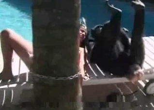 Naked zoo slut and her monkey