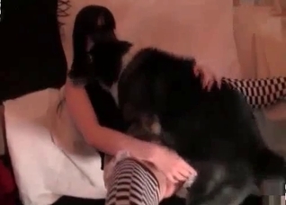 Dog fucker screwed from behind