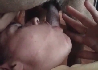 Oral sex with a cute animal