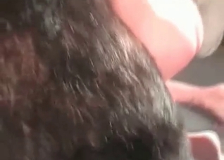 Trained Shepherd in the zoo porn