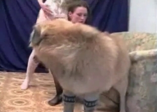 Amateur bestiality with two girls