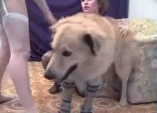 Amateur bestiality with two girls