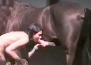 Quickly masturbating a horse wiener