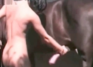 Quickly masturbating a horse wiener