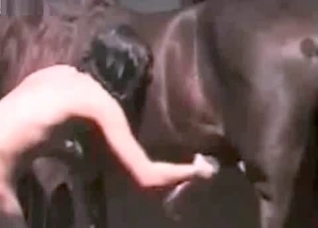 Quickly masturbating a horse wiener