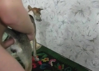 Dog gets fucked by my huge wiener