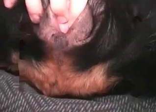 Fingering my lovely black doggy