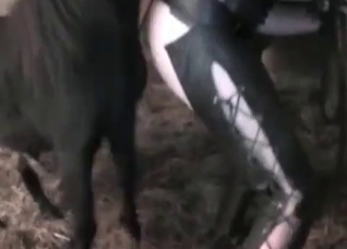Stallion cums in her snatch