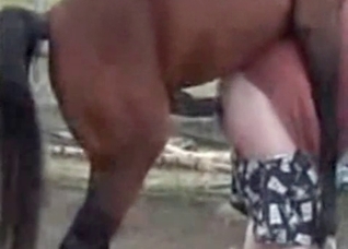 Juicy booty fucked by a stallion
