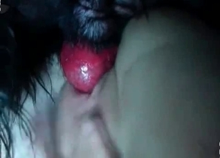 Nasty bestial sex in the close up